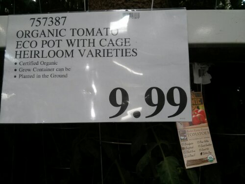 Organic Tomato Plant at Costco