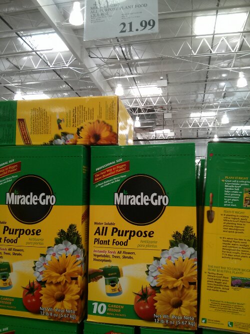 Miracle Gro All Purpose Plant Food at Costco
