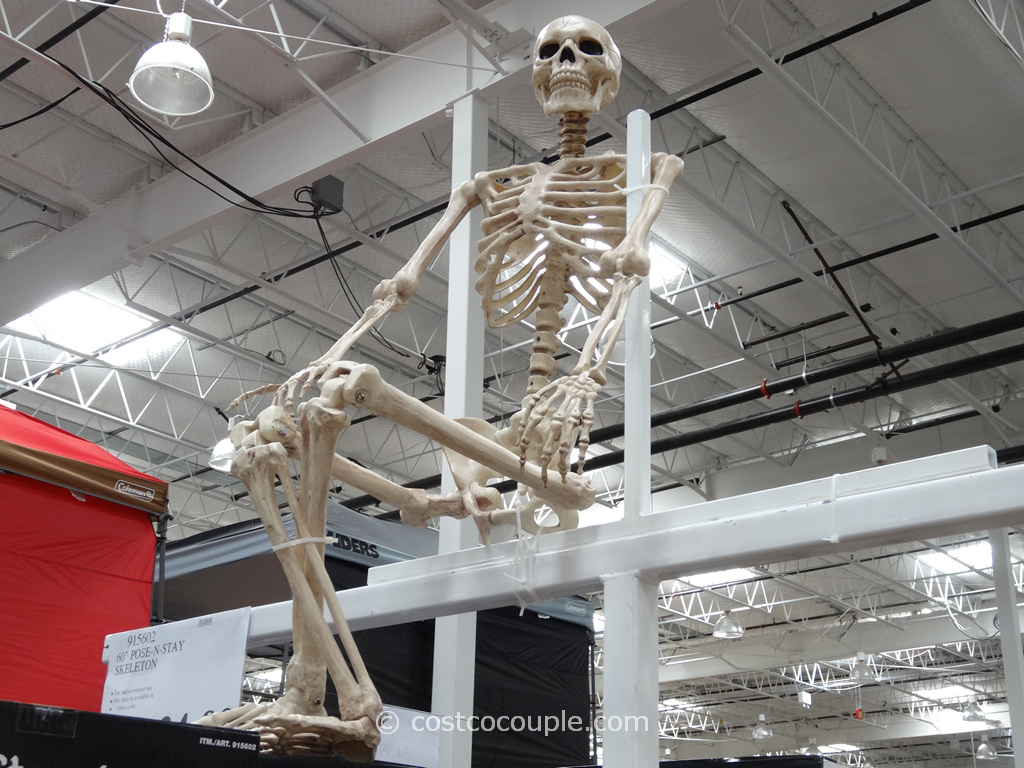 Costco Skeleton 2024 Lok Ginni Justine