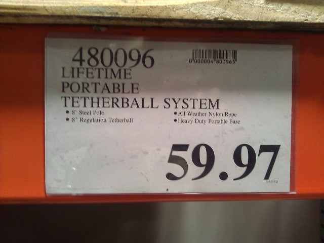 Lifetime Portable Tetherball System Costco