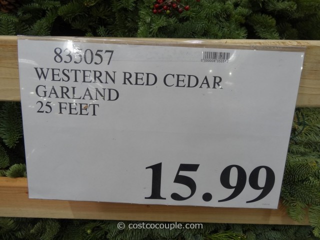25-Feet Western Red Cedar Garland Costco 1