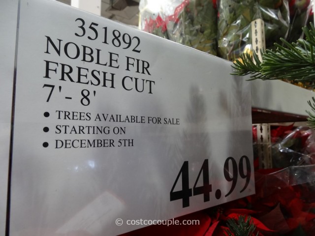 Fresh Cut Noble Fir Christmas Tree Costco 2