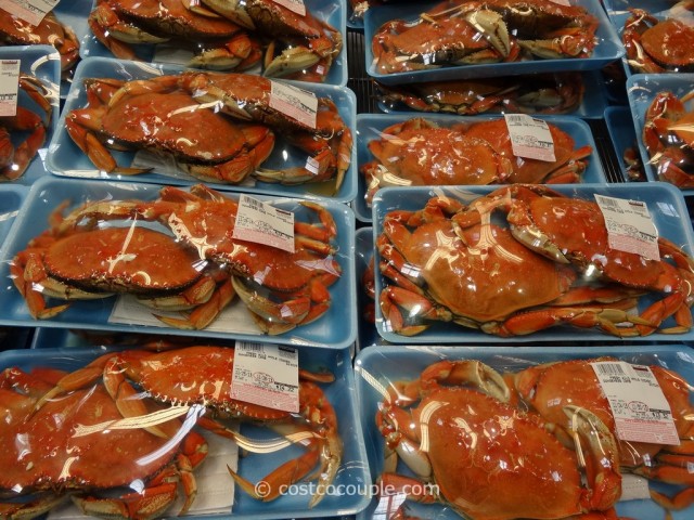 Fresh Wild Whole Cooked Dungeness Crab Costco 2