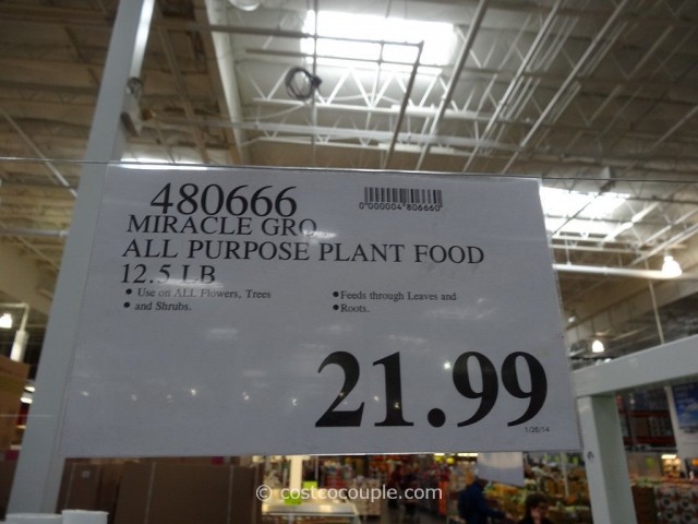 Miracle Gro All-Purpose Plant Food Costco 1