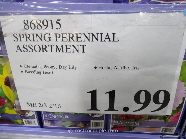 Spring Perennial Assortment Bulbs Costco 2