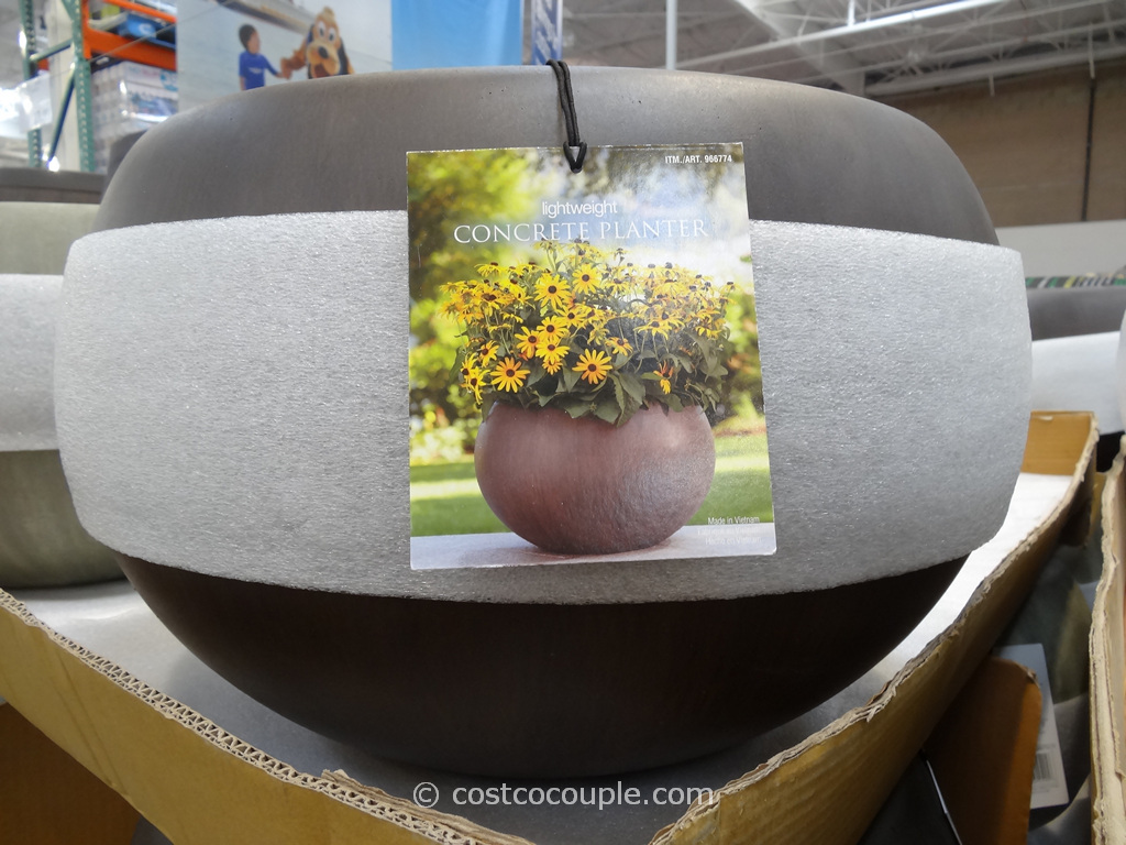 Love this Lightweight Concrete Planter Bowl that just appeared in the  | 1024 x 768 · 304 kB · jpeg