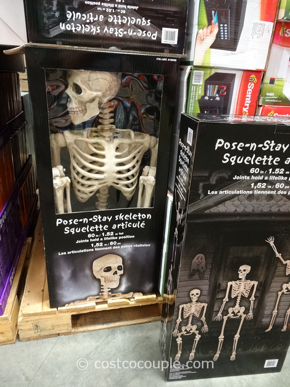 60-Inch Pose-N-Stay Skeleton Costco 4