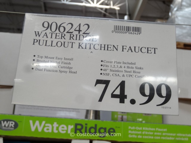Water Ridge Pull Out Kitchen Faucet