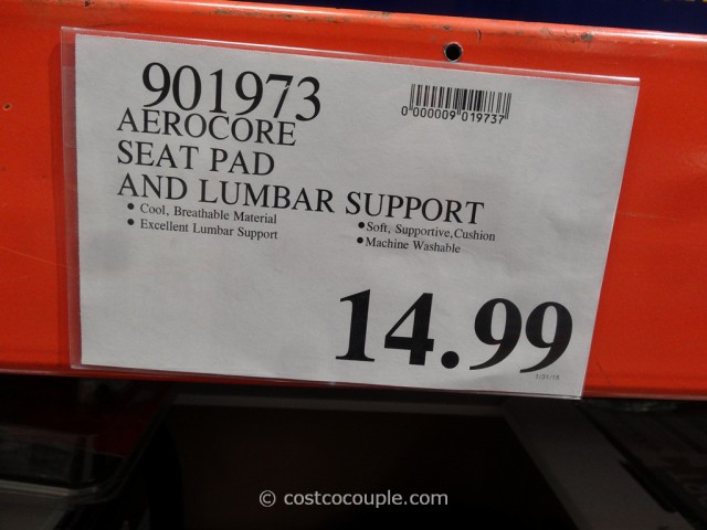 Aerocore Seat Pad and Lumbar Support Costco 1