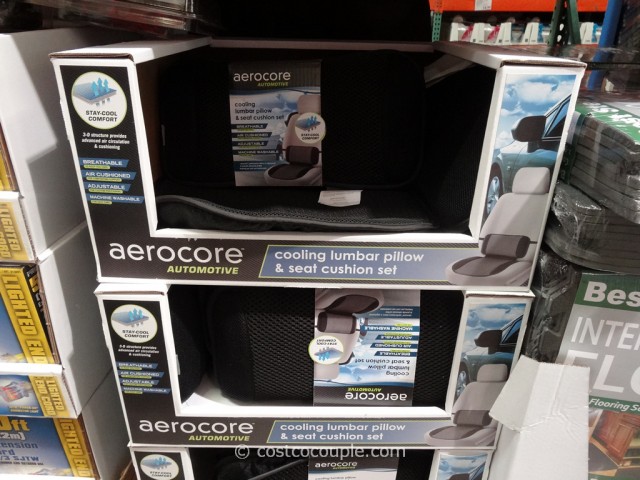 Aerocore Seat Pad and Lumbar Support Costco 2
