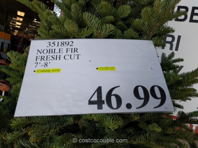 Noble Fir Fresh Cut Christmas Tree Costco 2