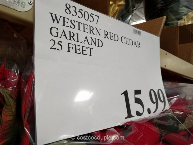 Western Red Cedar Garland Costco 1