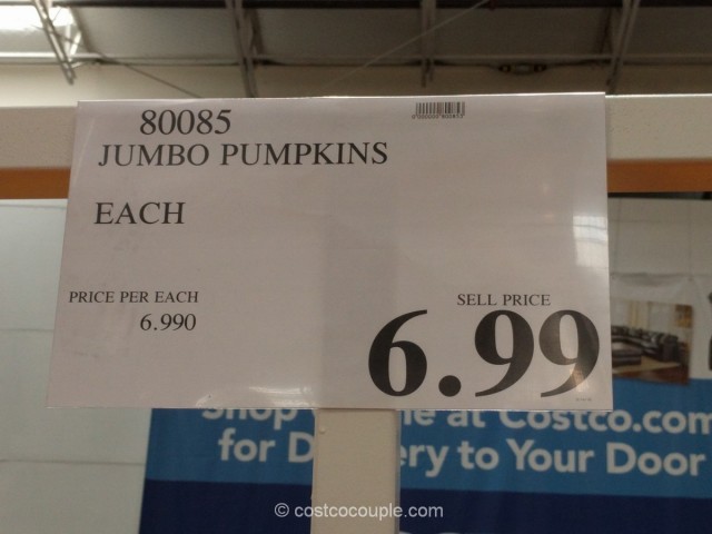 jumbo-pumpkins-costco-1