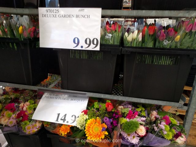Mother's Day 2017 Costco