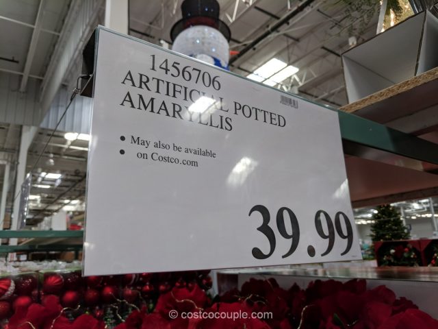 Artificial Potted Amaryllis Costco 