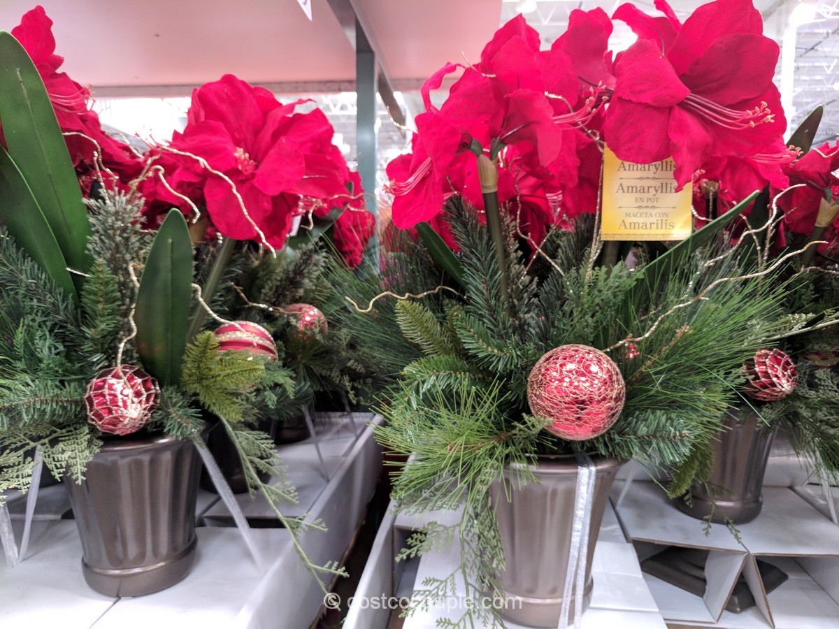 Artificial Potted Amaryllis