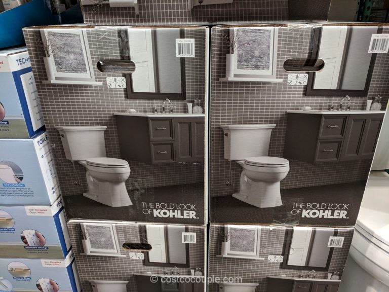 Kohler 2Piece Lintelle Complete Toilet Kit