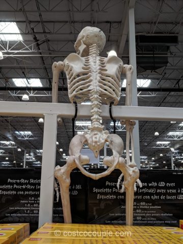 Pose-N-Stay Skeleton with LED eyes Costco