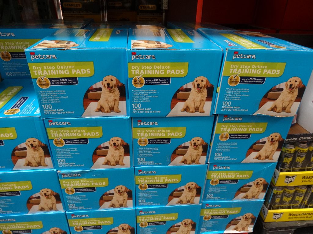3M Pet Care Dry Step Deluxe Training Pads Costco