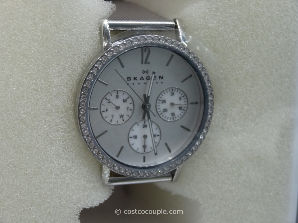 Skagen Ladies Mesh Silver Dial Watch