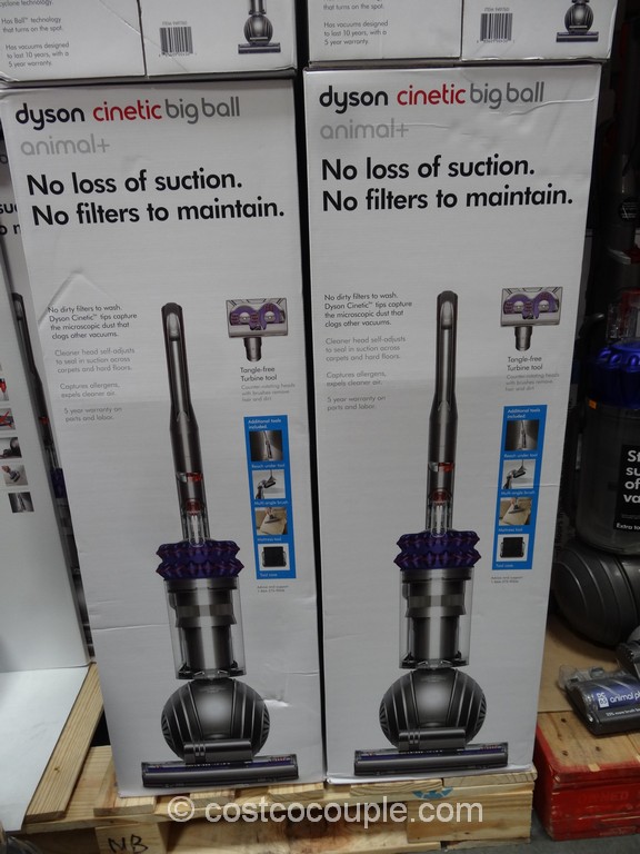 dyson cinetic science