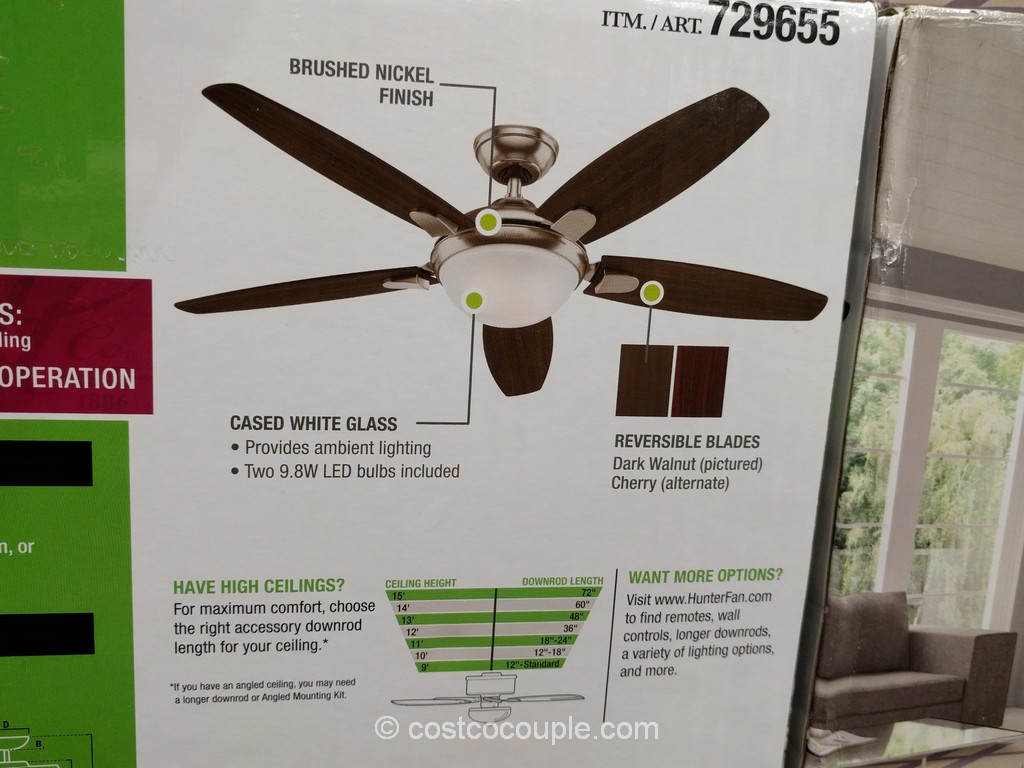 Hunter Designer Series 54-Inch Contempo Ceiling Fan