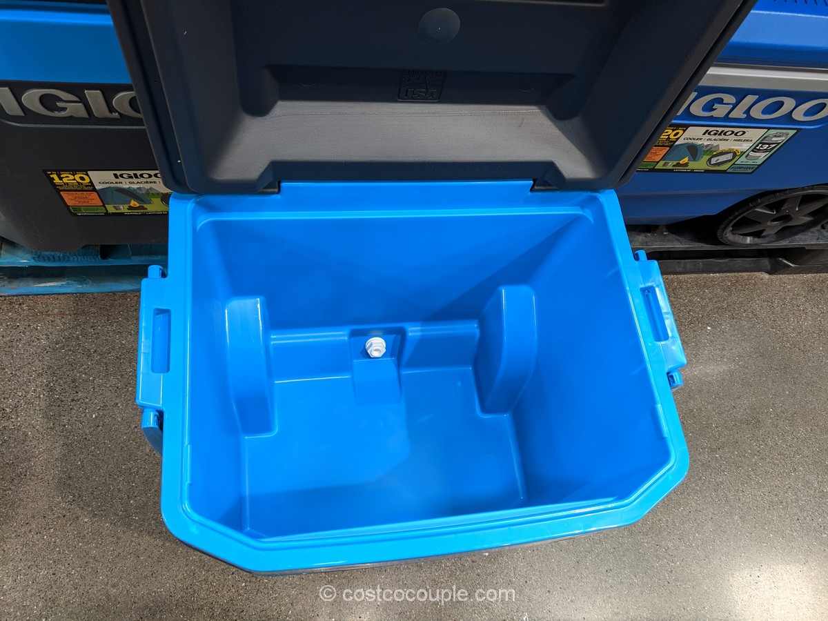 igloo 62 quart