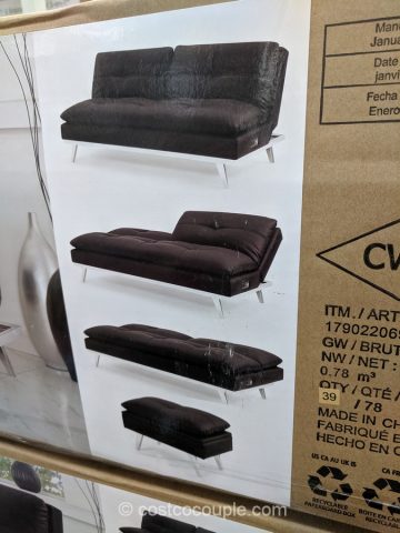 Relax A Lounger Eurolounger With Ottoman, Leather Futon Couch Costco