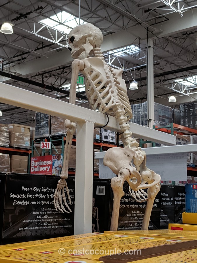 Costco Skeleton 2024 Lexus Teddi